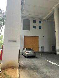 Woodlands Spectrum (D25), Factory #459410051